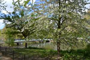 ST-JAMES-PARK (38)